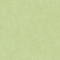 Oregon19